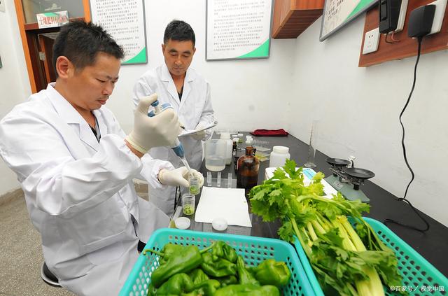 食品送检选第三方还是监管部门？彭州企业按报告用途倒推更稳妥